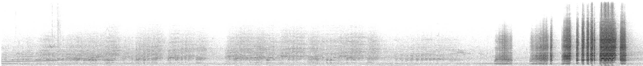 Рыжебрюхая чачалака - ML352413751