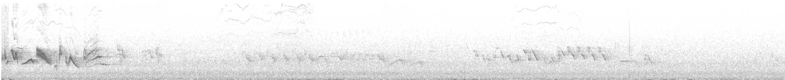 Cassin Çütresi - ML352460971