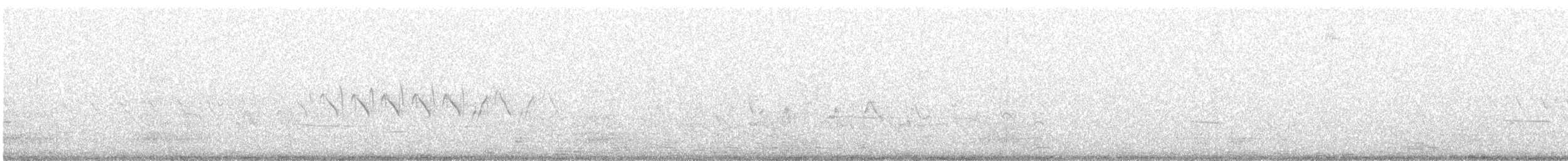 Kronenwaldsänger (Audubonwaldsänger) - ML352464911