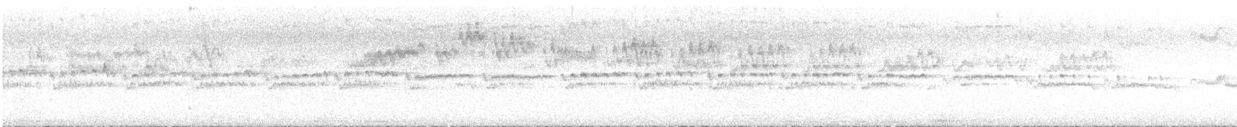 White-throated Swift - ML352476961