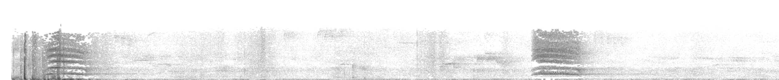 ワタリガラス - ML352488931