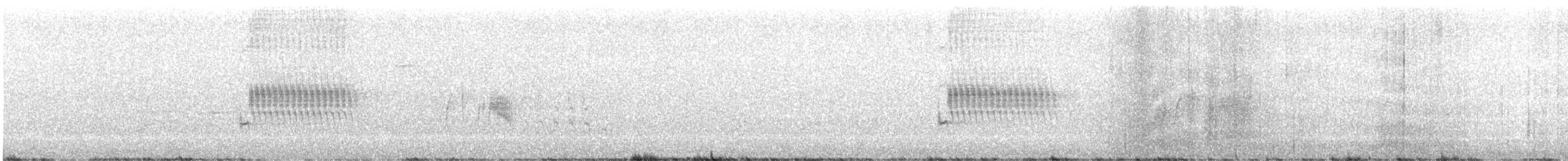 Fleckengrundammer [oregonus-Gruppe] - ML352493131