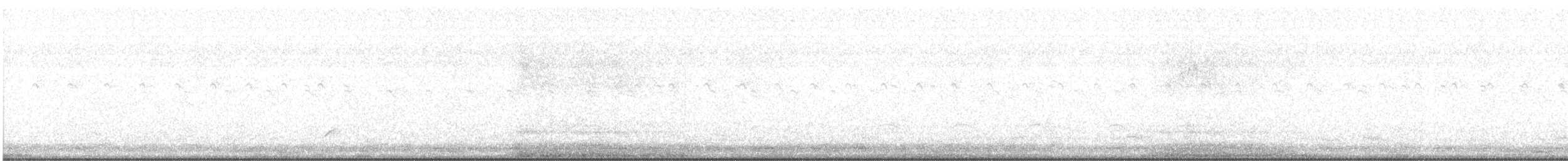 Weißscheckenentyrann - ML352529001