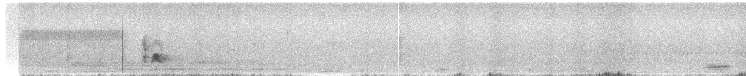 Серогрудый тиранн - ML352552961