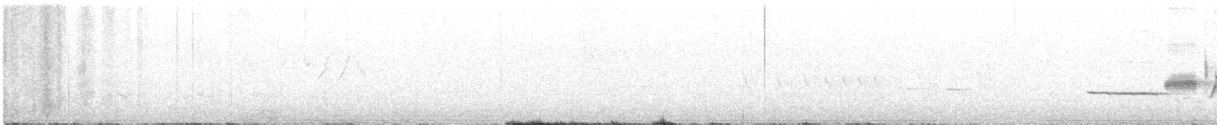 Bruant à couronne blanche (oriantha) - ML352580131
