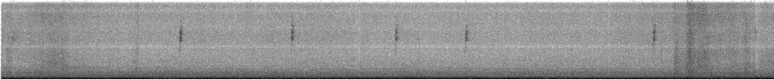 Nashville Warbler - ML352647421