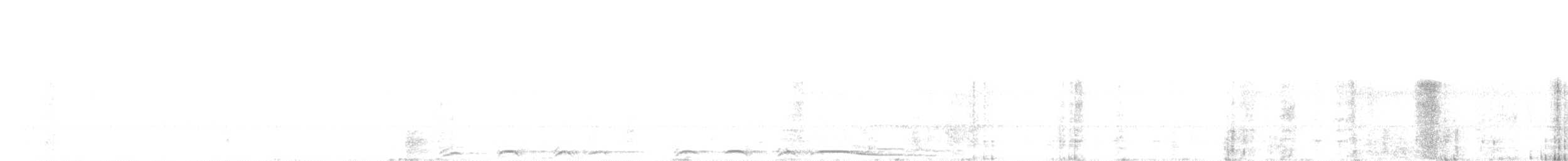 Chouette rayée - ML35267651