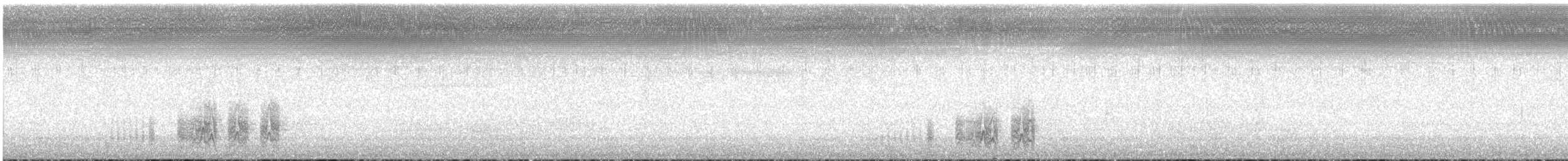 Madeyra Fırtınakırlangıcı - ML352724561