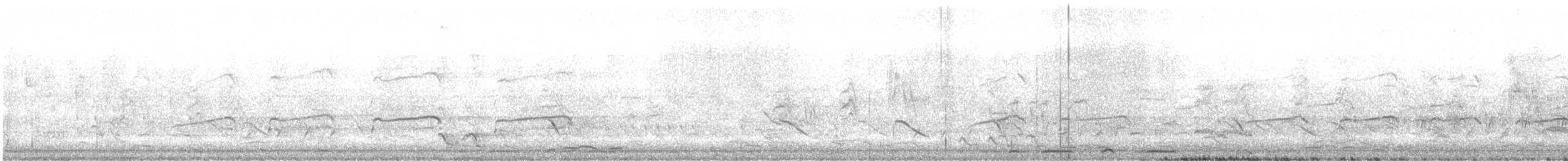 Balbuzard pêcheur (cristatus) - ML352798101