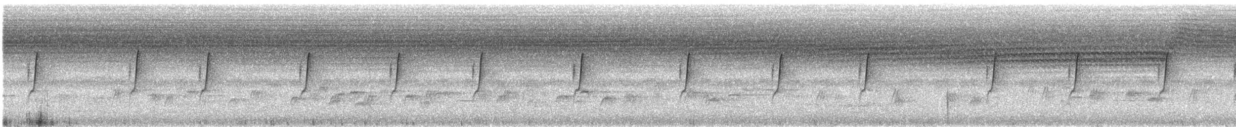 Çatal Kuyruklu Nektarkuşu (latouchii/sokolovi) - ML352811441
