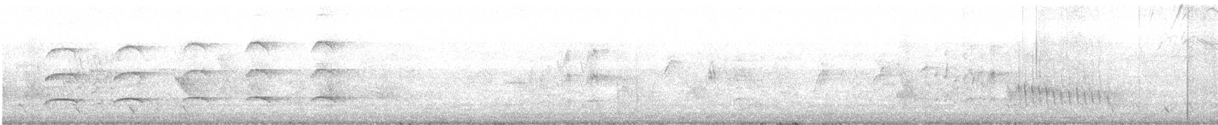 Яструб тасманійський - ML352812201