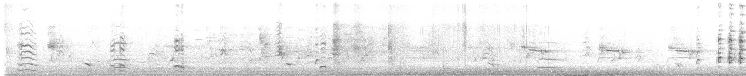 Mouette argentée (novaehollandiae/forsteri) - ML352814371