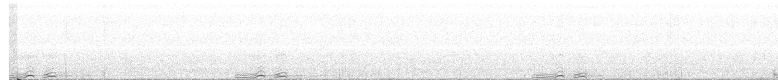 sovka štěkavá - ML352817641