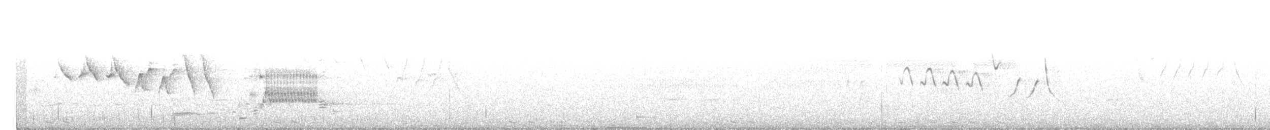 קוקיה שחורת-מקור - ML352821041