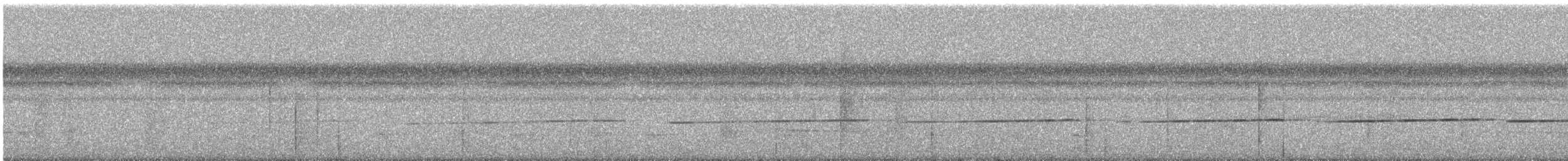 Bürzelbinden-Ameisenfänger - ML352828391