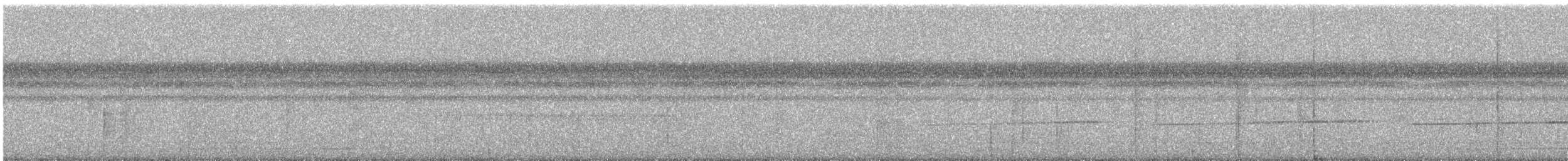 Grisin sanglé - ML352828531