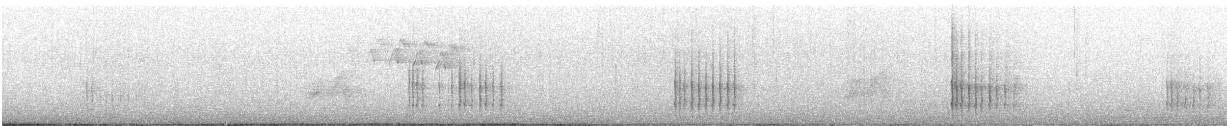 Опоясанный зимородок - ML352838521