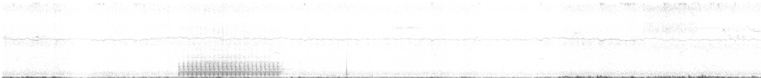 White-headed Woodpecker - ML352847011
