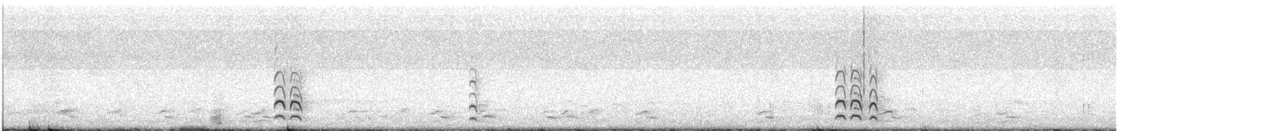 Bar-tailed Godwit - ML352871631