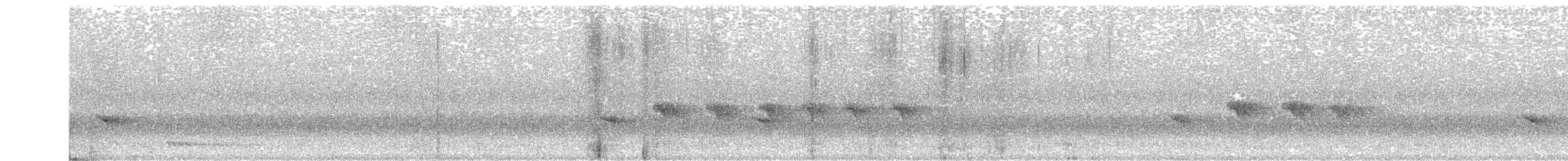 Square-tailed Bulbul - ML352872521
