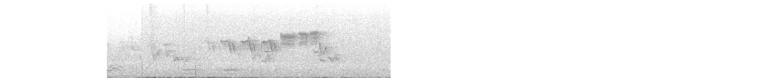 Northern Parula - ML352917121