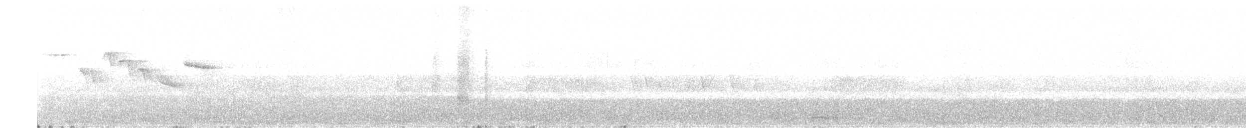 Brown Creeper - ML352949991