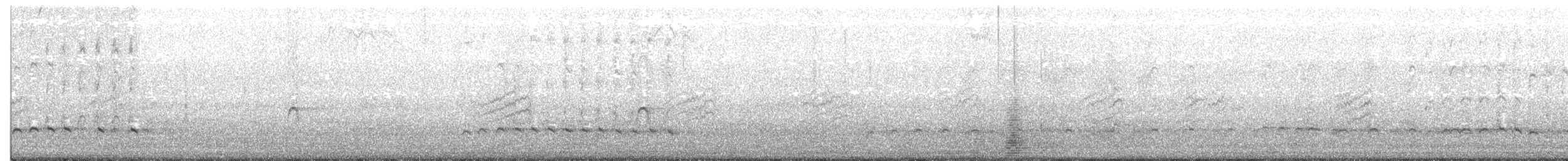 チュウシャクシギ（variegatus） - ML35296531