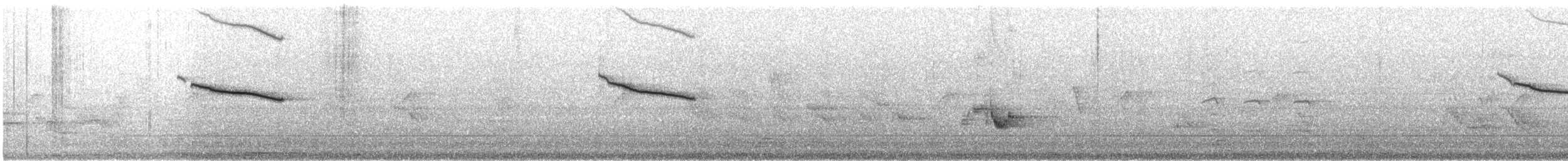 Oriental Magpie-Robin - ML352992711