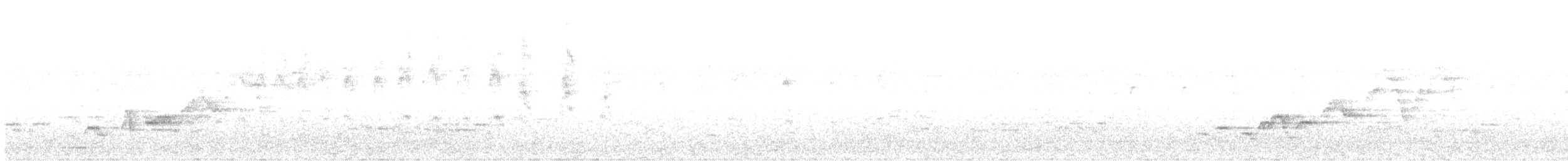 Дрізд-короткодзьоб Cвенсона - ML353012921