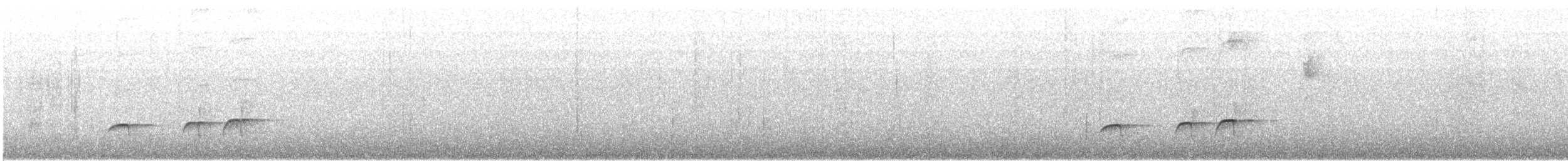 Grallaire d'Urrao - ML353015331