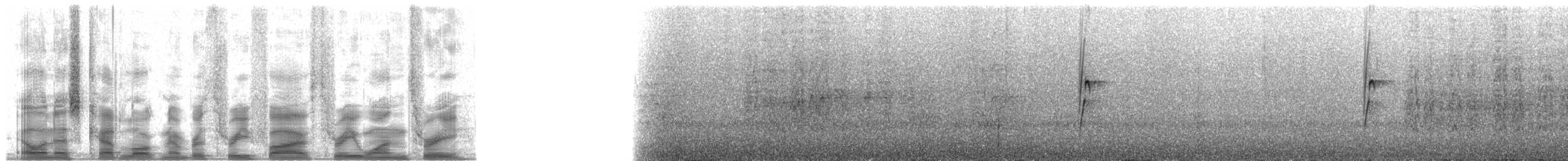 Светлоголовая якамара - ML35313