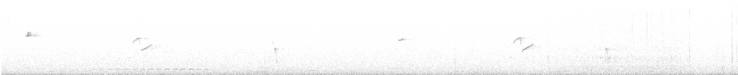 Western Flycatcher (Pacific-slope) - ML353131801
