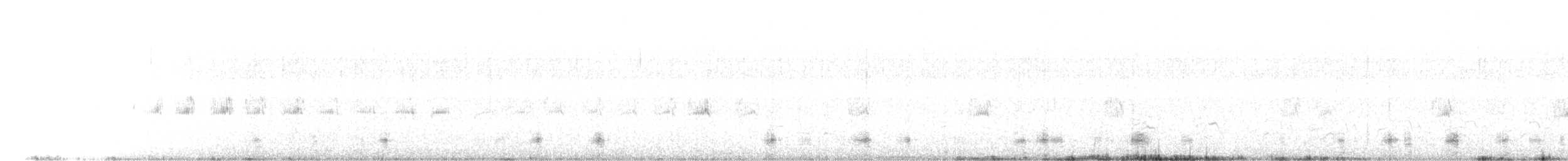 berneška tmavá (ssp. nigricans) - ML353141111