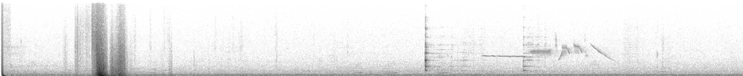 White-crowned Sparrow - ML353243631