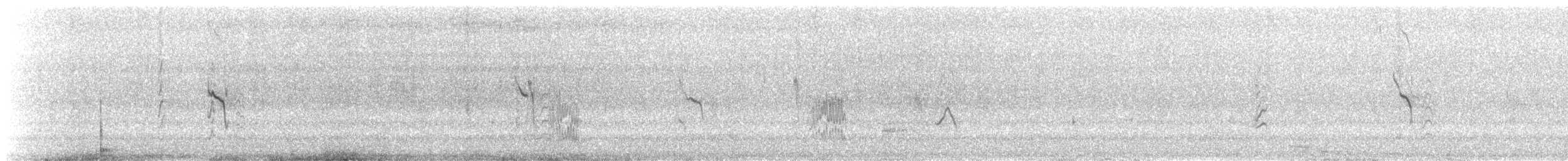 Hill Swallow - ML353245431