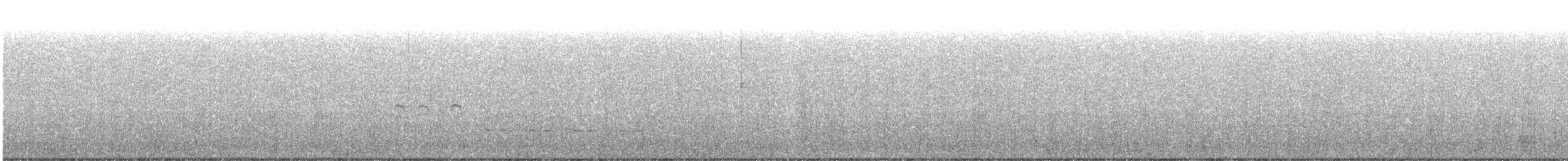 Neotropic Cormorant - ML353248991