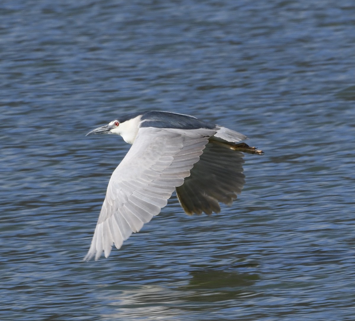 Ногоовор зашин - ML353331211