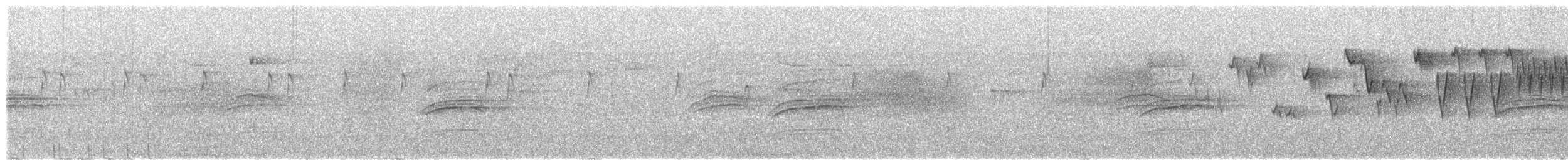 Troglodyte de Baird - ML353392401