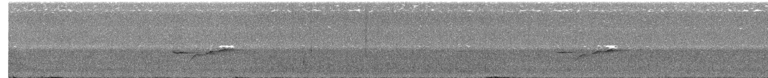 Gri Başlı Kanarya Sinekkapanı - ML353392571