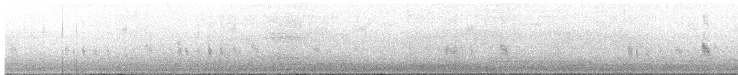 Antillennachtschwalbe - ML353420771