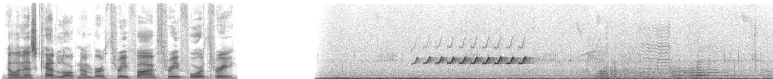 ヒラハシモズモドキ - ML35343