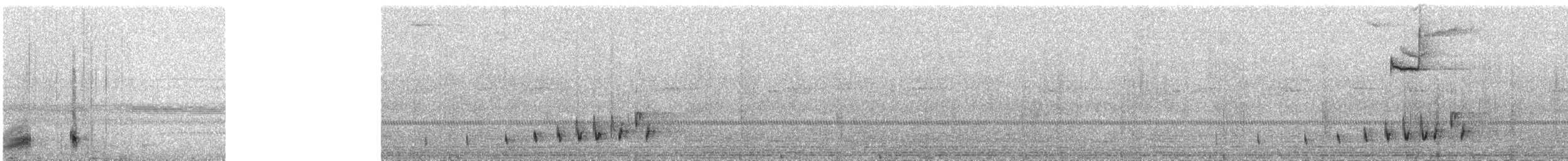 Braunhals-Nachtschwalbe - ML353510061