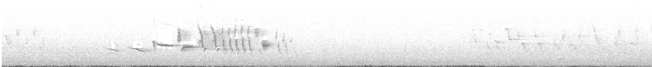 オジロヒメドリ - ML353567101