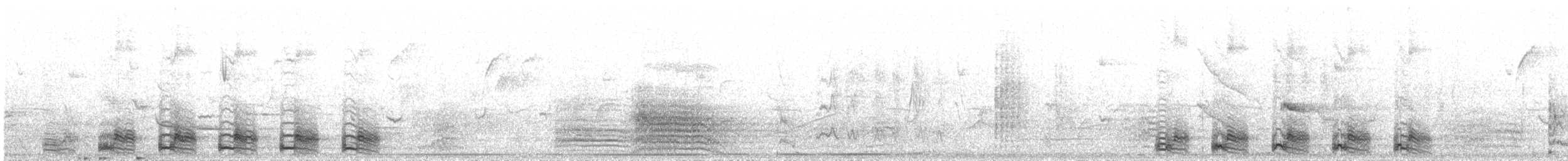 fagertrogon (ambiguus gr.) - ML353576921