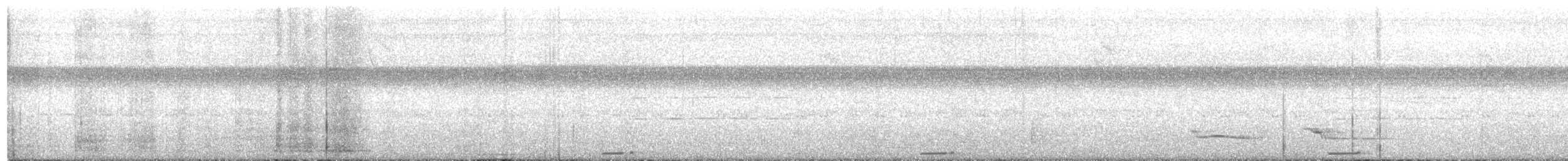 holoubek šedomodrý - ML353620491