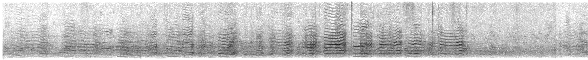 ריסה שחורת-רגל - ML353633531