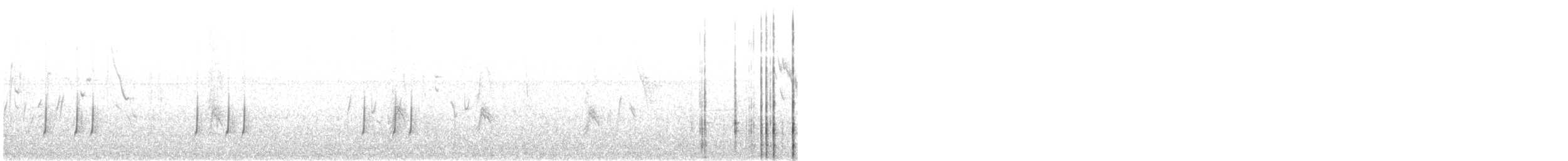 Common Quail - ML353643831