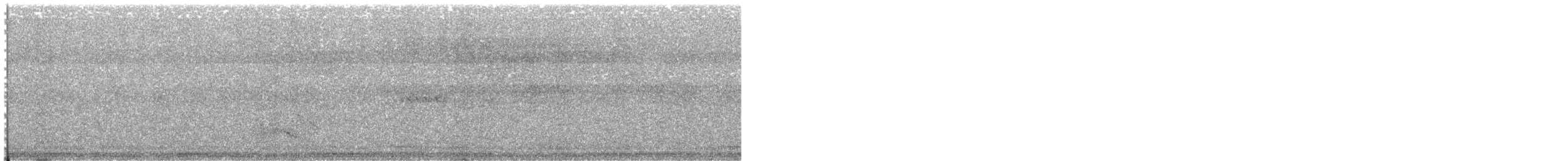 tanımsız Sterninae sp. - ML353700971
