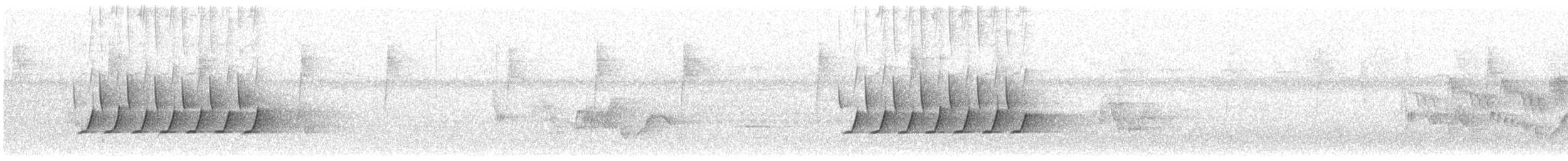 Поплітник каролінський - ML353760851