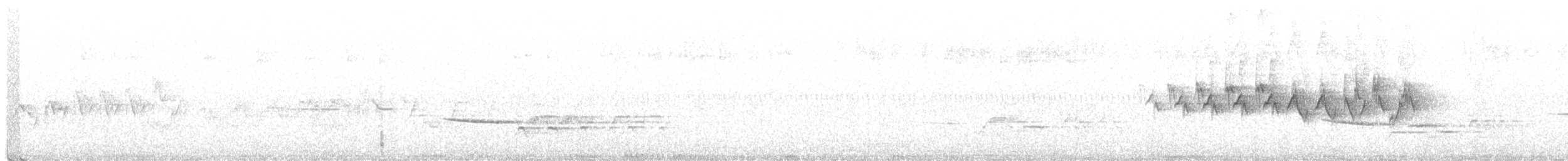 lesňáček žlutoskvrnný (ssp. auduboni) - ML353766071